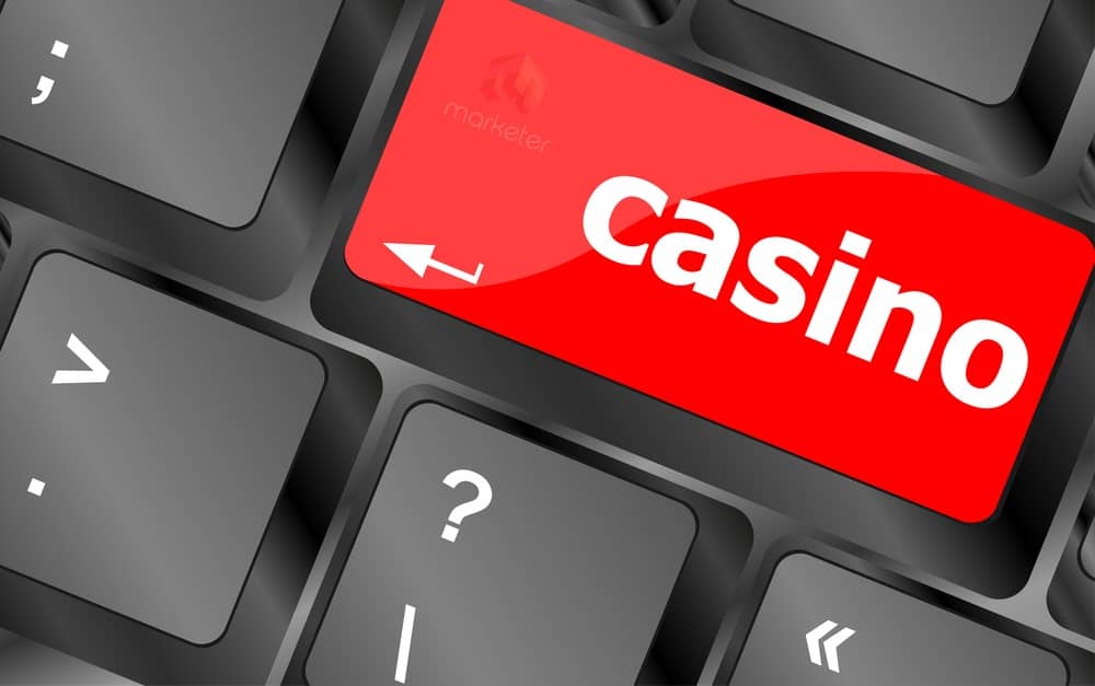 Experience the Thrills of Online Gaming at Spinsala Casino